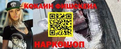 индика Можга