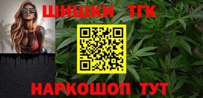 индика Можга