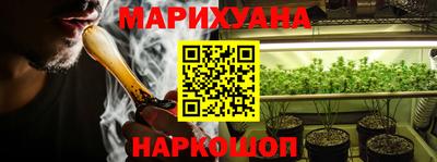 индика Можга