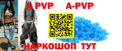 индика Можга