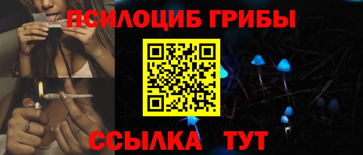 Тосно  Псилоцибиновые грибы Psilocybine cubensis  Галлюциногенные грибы Psilocybine cubensis  Вход с VPN 